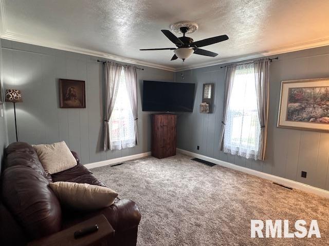 964 E Locust St, Canton, IL 61520 - living area with a ceiling fan, a textured ceiling, crown molding, and carpet