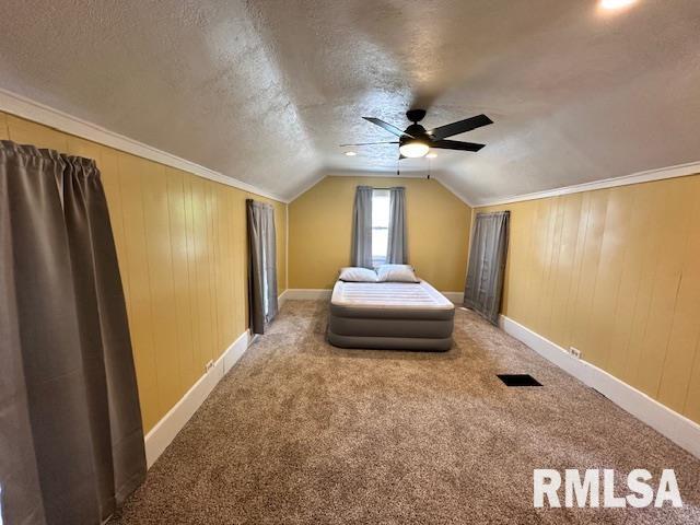 964 E Locust St, Canton, IL 61520 - unfurnished bedroom with carpet, lofted ceiling, wood walls, and a ceiling fan