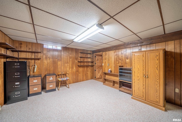 748 E Poplet Hollow Rd, Peoria, IL 61614 - below grade area featuring wood walls, carpet flooring, and a paneled ceiling