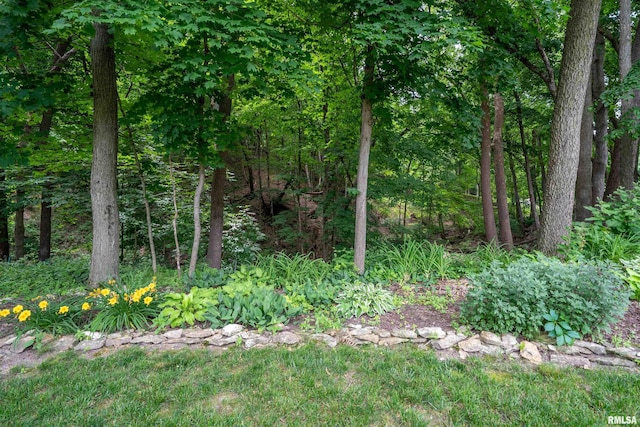 748 E Poplet Hollow Rd, Peoria, IL 61614 - view of yard featuring a forest view