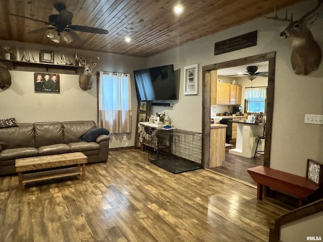 442 W Oak St, Smithfield, IL 61477 - living room with a ceiling fan, dark wood finished floors, wooden ceiling, and recessed lighting