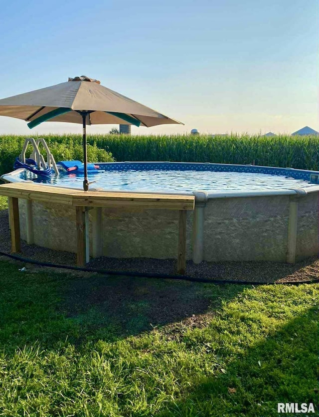 442 W Oak St, Smithfield, IL 61477 - view of outdoor pool