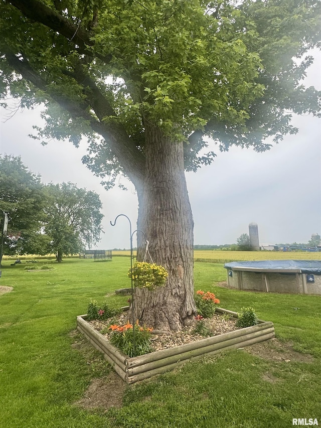 442 W Oak St, Smithfield, IL 61477 - view of grassy yard