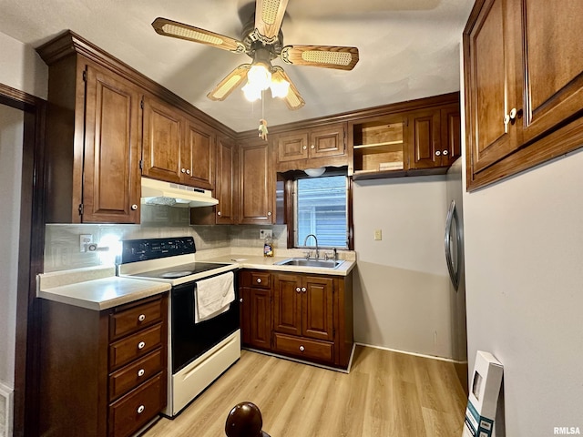 904 E Forrest Hill Ave, Peoria, IL 61603 - kitchen featuring range with electric cooktop, under cabinet range hood, light wood finished floors, ceiling fan, and backsplash