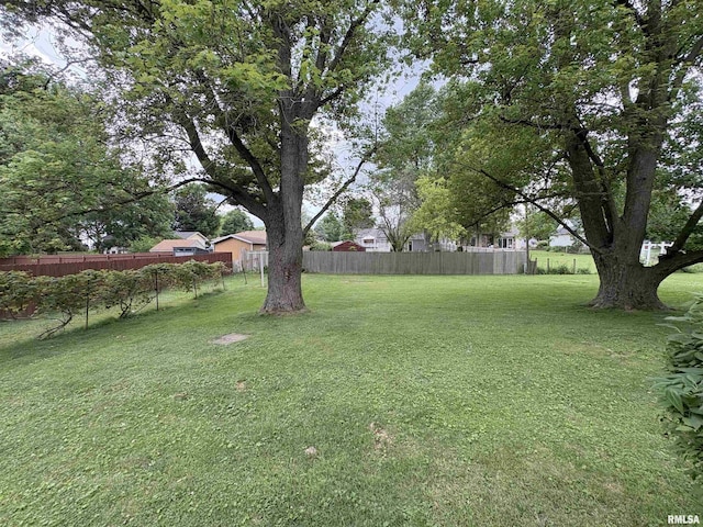 505 S Davenport St, Metamora, IL 61548 - view of yard