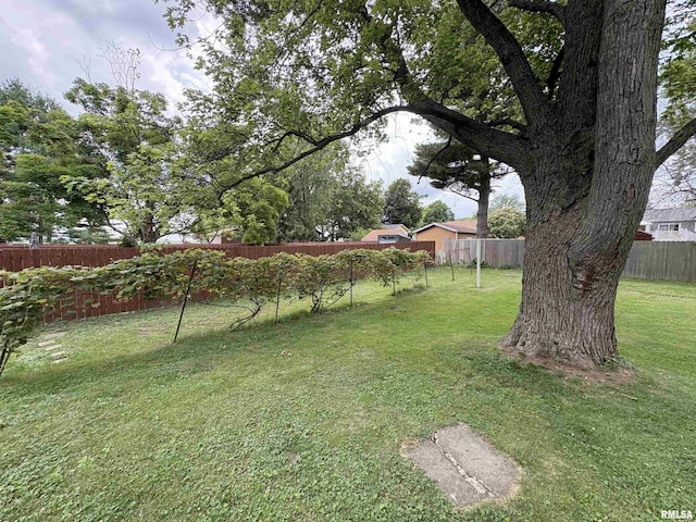 505 S Davenport St, Metamora, IL 61548 - view of fenced backyard