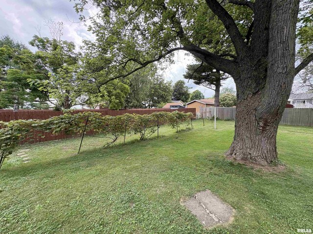 505 S Davenport St, Metamora, IL 61548 - photo 40