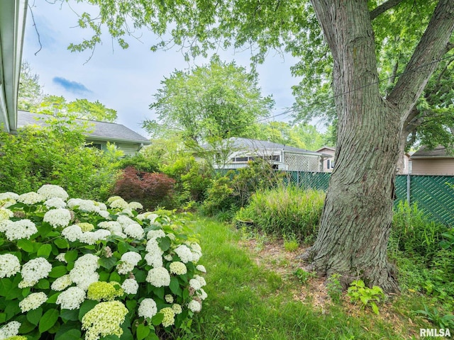 2705 N Victoria Ave, Peoria, IL 61604 - view of yard