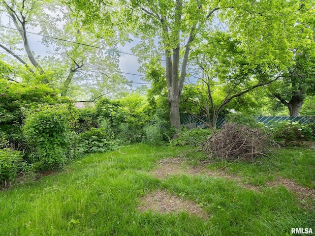 2705 N Victoria Ave, Peoria, IL 61604 - view of yard