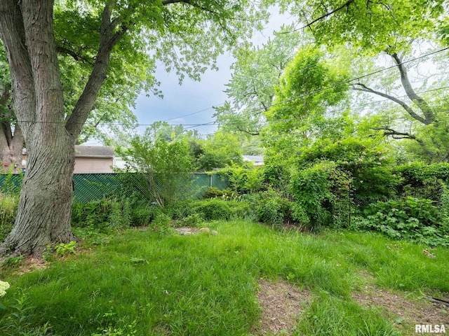 2705 N Victoria Ave, Peoria, IL 61604 - view of yard