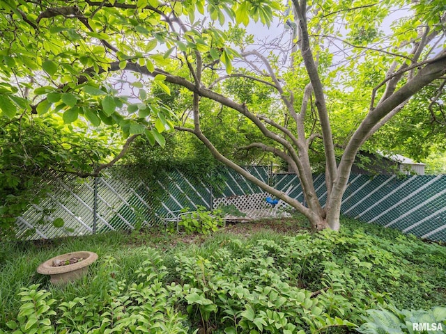 2705 N Victoria Ave, Peoria, IL 61604 - view of yard