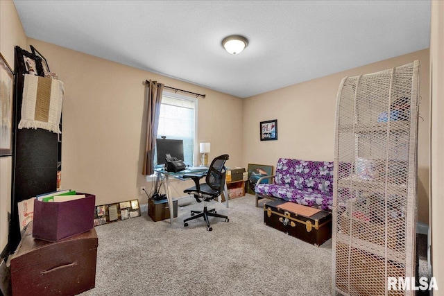 1712 Rustic Oak Dr, Washington, IL 61571 - view of carpeted office space