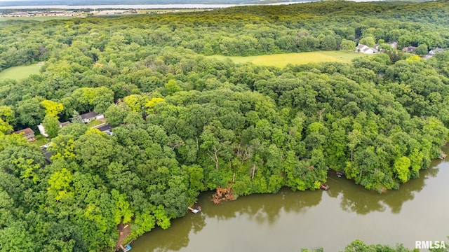 743 W Wonderview Dr, Dunlap, IL 61525 - aerial view of a forest and a nearby body of water