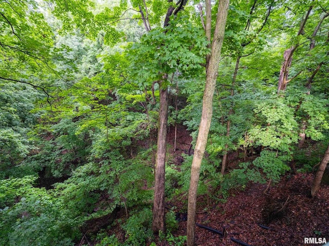 743 W Wonderview Dr, Dunlap, IL 61525 - view of woods
