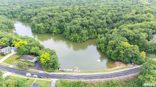 743 W Wonderview Dr, Dunlap, IL 61525 - aerial view of a large body of water and a forest