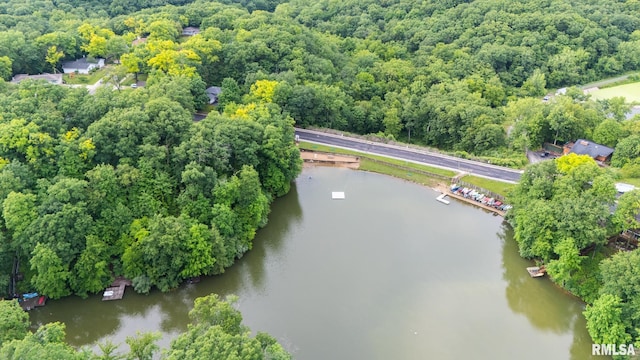 743 W Wonderview Dr, Dunlap, IL 61525 - bird's eye view of a large body of water