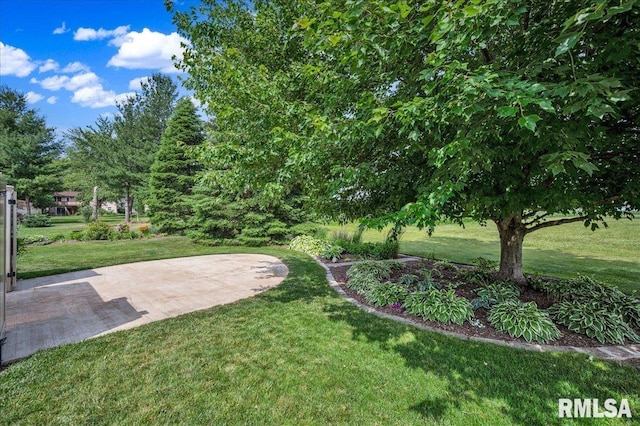 1619 Holland Ct, Chillicothe, IL 61523 - view of green lawn with a patio area