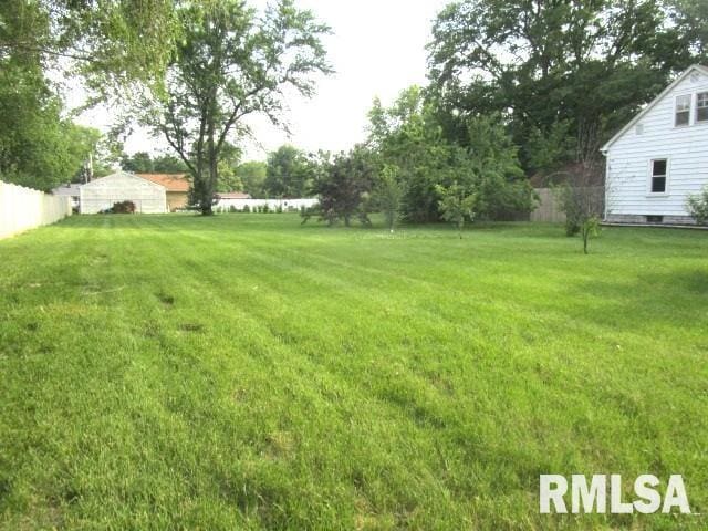 320 E Meadow Lawn St, Manito, IL 61546 - view of yard