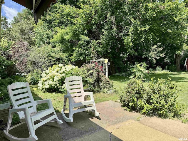 3813 W Brighton Ave, Peoria, IL 61615 - view of patio