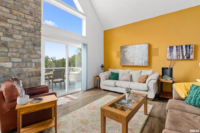 161 Lakecrest Pl, Dahinda, IL 61488 - living room with high vaulted ceiling and wood finished floors