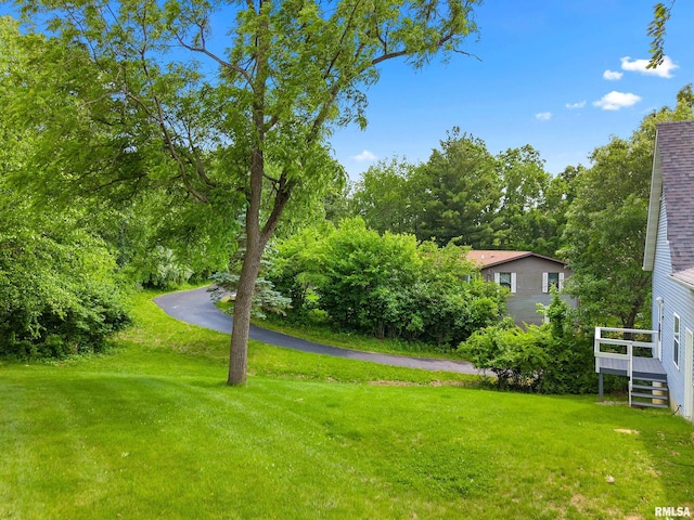 161 Lakecrest Pl, Dahinda, IL 61488 - view of grassy yard