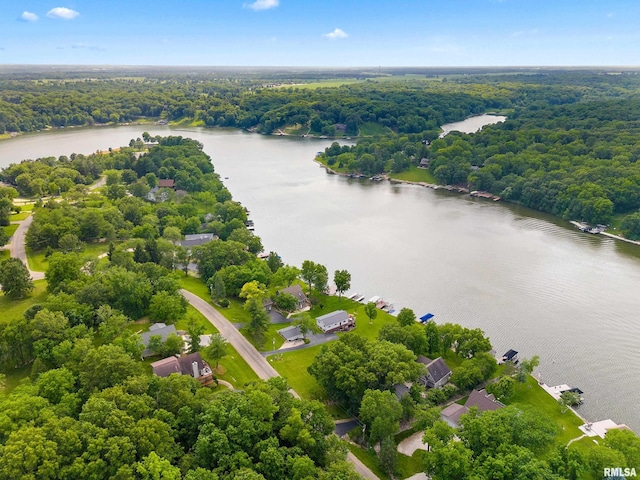161 Lakecrest Pl, Dahinda, IL 61488 - drone / aerial view of a large body of water
