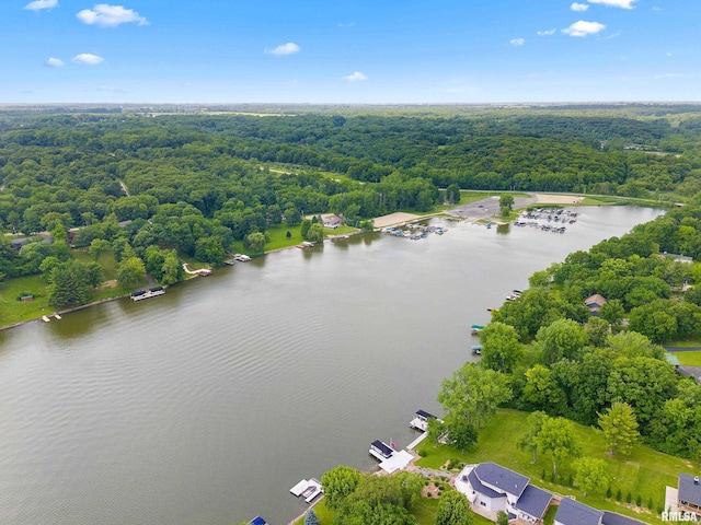 161 Lakecrest Pl, Dahinda, IL 61488 - aerial view of a heavily wooded area and a large body of water