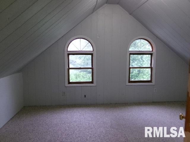 335 W Walnut St, Washburn, IL 61570 - additional living space featuring lofted ceiling, healthy amount of natural light, and carpet floors