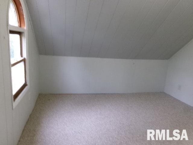 335 W Walnut St, Washburn, IL 61570 - additional living space featuring lofted ceiling, carpet flooring, and wood ceiling