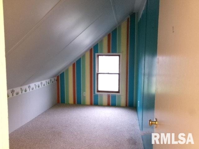 335 W Walnut St, Washburn, IL 61570 - bonus room featuring lofted ceiling and carpet floors