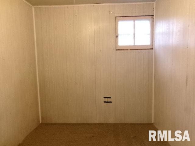 335 W Walnut St, Washburn, IL 61570 - spare room featuring carpet floors and wood walls