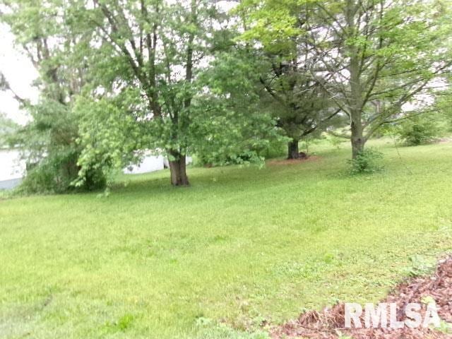 335 W Walnut St, Washburn, IL 61570 - view of green lawn