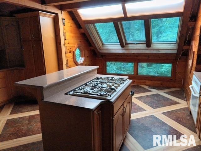 130 Zimmerman Rd, Spring Bay, IL 61611 - unfinished attic with a skylight
