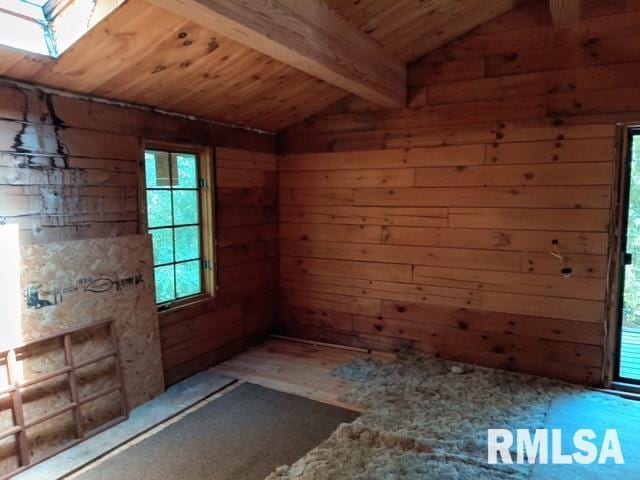 130 Zimmerman Rd, Spring Bay, IL 61611 - unfurnished room with wood walls, wood ceiling, healthy amount of natural light, a sauna / steam room, and wood finished floors