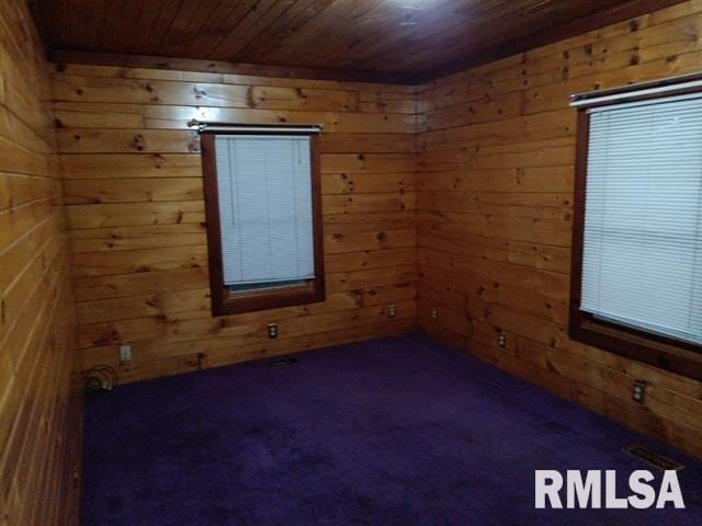 130 Zimmerman Rd, Spring Bay, IL 61611 - unfurnished room featuring wood ceiling, wooden walls, and dark carpet