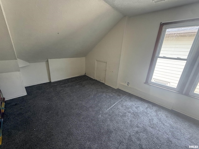 1712 W Bradley Ave, Peoria, IL 61606 - bonus room featuring vaulted ceiling, a textured ceiling, and dark carpet