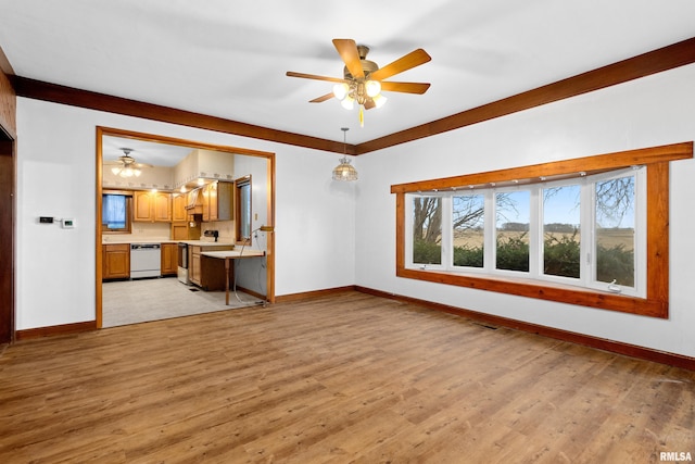 16905 E 1600th St, Bushnell, IL 61422 - unfurnished living room with ceiling fan and light wood-style flooring