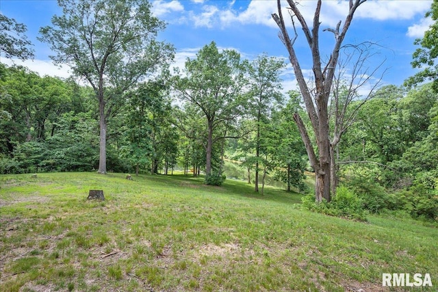 12804 W Dell Rd, Princeville, IL 61559 - view of grassy yard featuring a view of trees