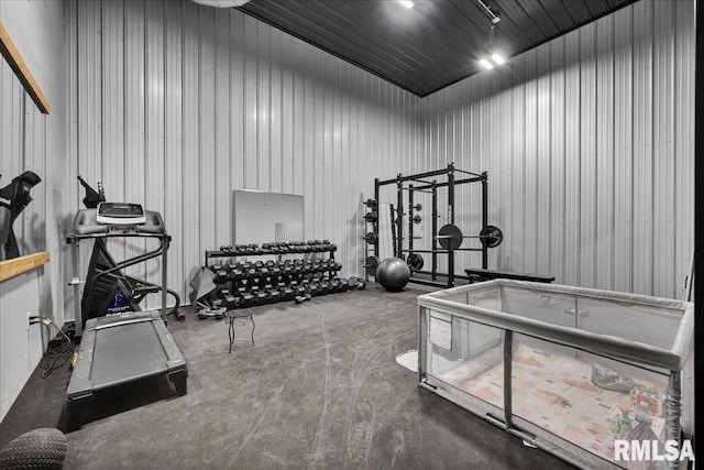 12804 W Dell Rd, Princeville, IL 61559 - view of workout area