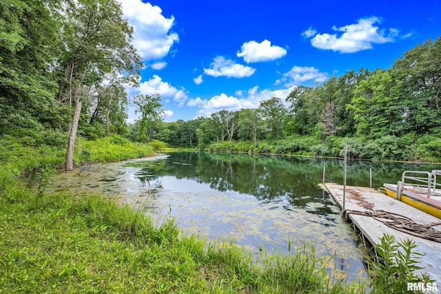 12804 W Dell Rd, Princeville, IL 61559 - water view featuring a heavily wooded area and a boat dock