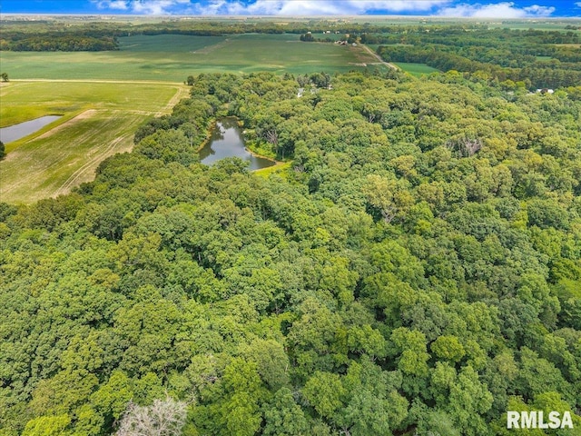 12804 W Dell Rd, Princeville, IL 61559 - aerial view of a large body of water