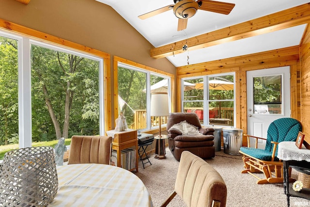 175 Lakecrest Pl, Dahinda, IL 61488 - sunroom with carpet