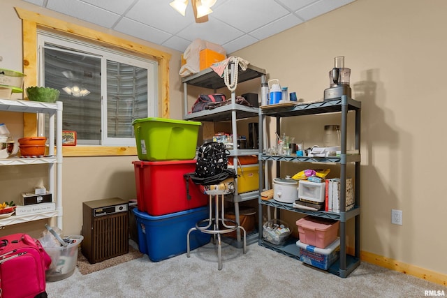 175 Lakecrest Pl, Dahinda, IL 61488 - view of storage