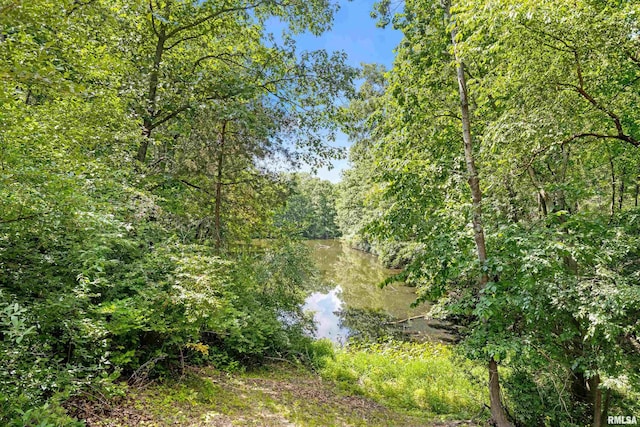 175 Lakecrest Pl, Dahinda, IL 61488 - water view with a forest