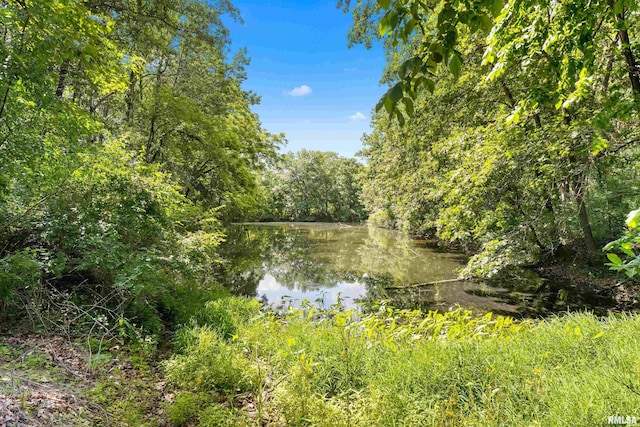 175 Lakecrest Pl, Dahinda, IL 61488 - water view featuring a heavily wooded area