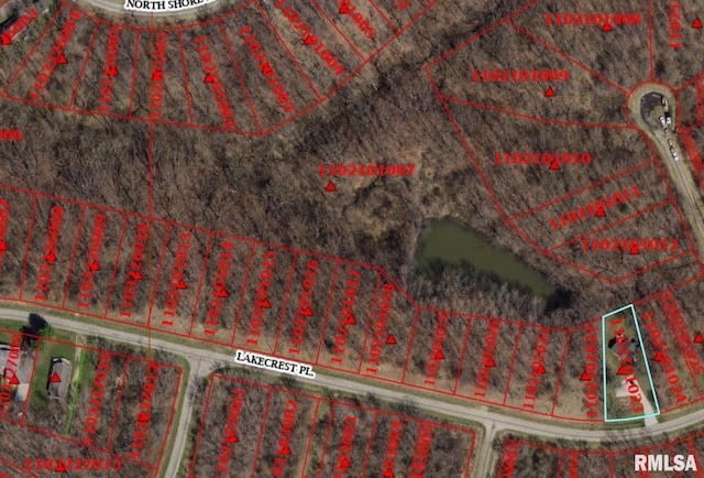 175 Lakecrest Pl, Dahinda, IL 61488 - aerial view of property's location featuring property parcel outlined
