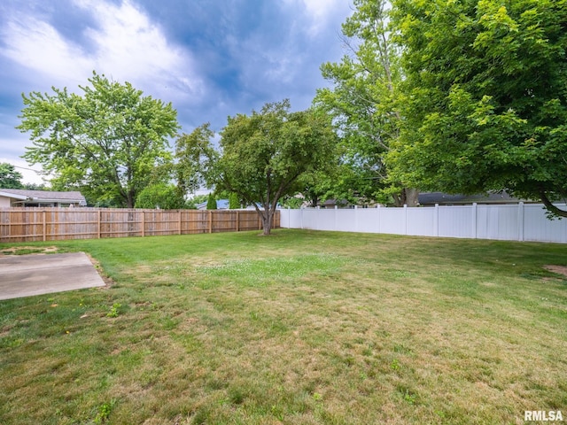 410 Stout Dr, Mackinaw, IL 61755 - view of yard with a patio