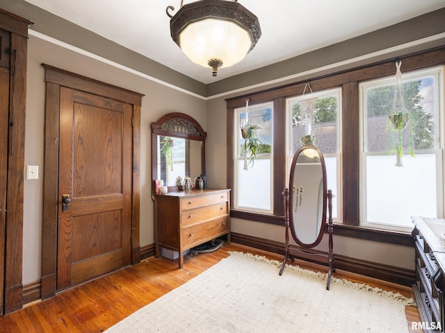 405 Washington St, Pekin, IL 61554 - foyer featuring light wood-style flooring and healthy amount of natural light