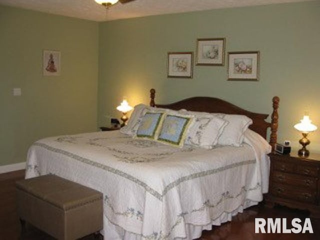 17215 N Mangold Rd, Edelstein, IL 61526 - bedroom featuring wood finished floors