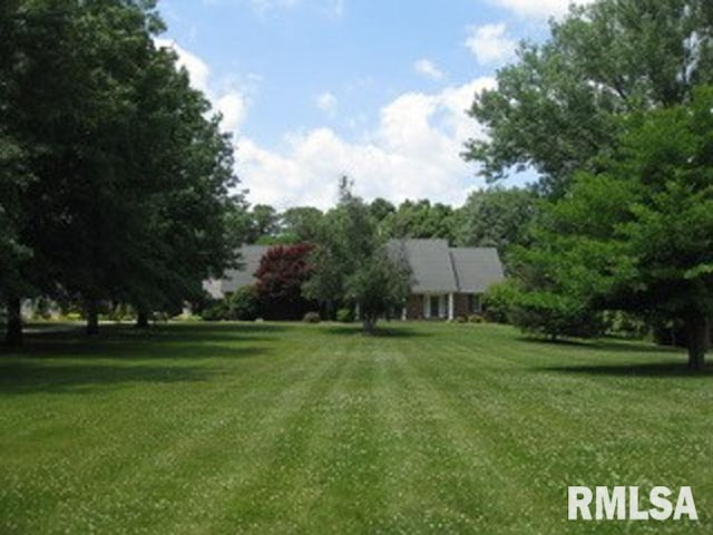 17215 N Mangold Rd, Edelstein, IL 61526 - view of grassy yard